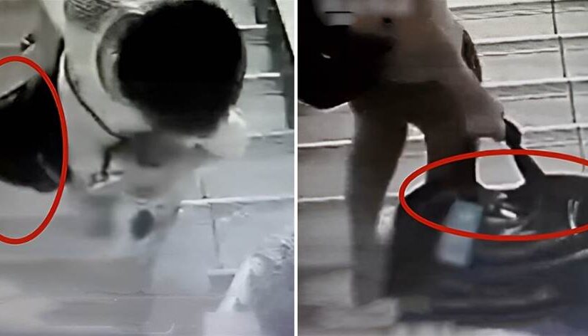 8歲男童「幫母搬行李上樓」成最後孝行，監視器拍下「行李箱運屍」全程，逆倫母淚崩：壓力太大